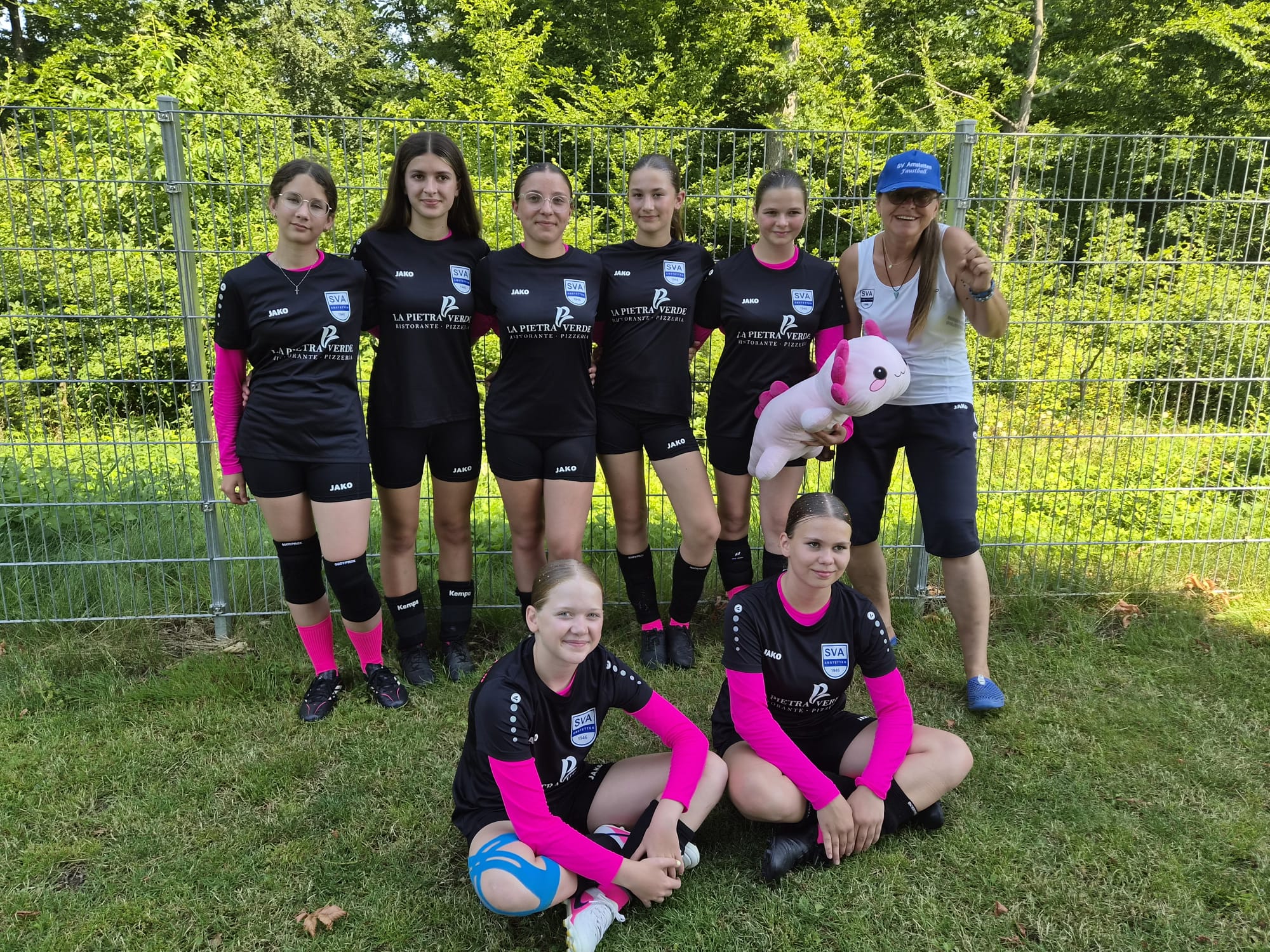 SV Amstetten Berichte Faustball