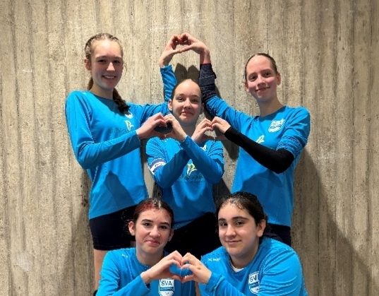 SV Amstetten Berichte Faustball