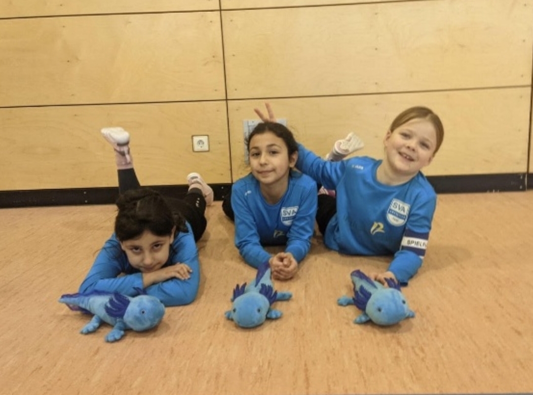 SV Amstetten Berichte Faustball